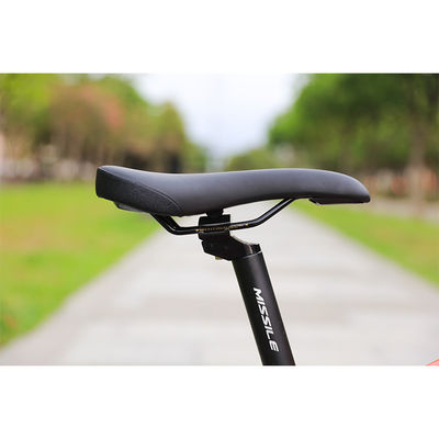 Bicicle pour enfants, fille, 8 et 10 ans, enfant à prix abordable.
