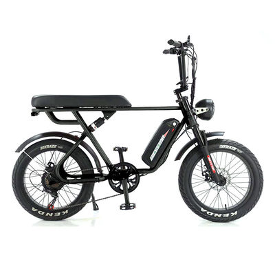 Véhicule électrique à moteur à moyeu arrière à suspension complète avec puissance 48v 1000w et batterie amovible