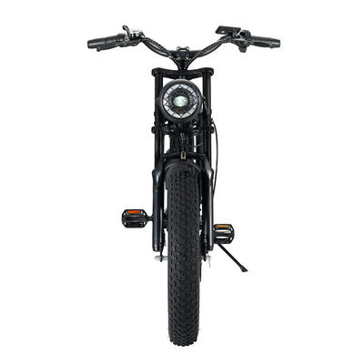 Puissant moteur V8 de 750W 20 pouces Fat Tire vélo de montagne électrique avec batterie 48V 15ah