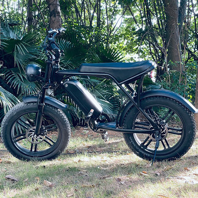 Puissant moteur V8 de 750W 20 pouces Fat Tire vélo de montagne électrique avec batterie 48V 15ah