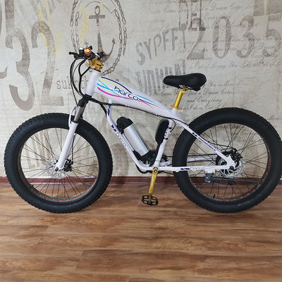 48V 500W Power Vélo électrique pour l'équilibre de l'exercice et les aventures de vélo électrique rétro Vintage