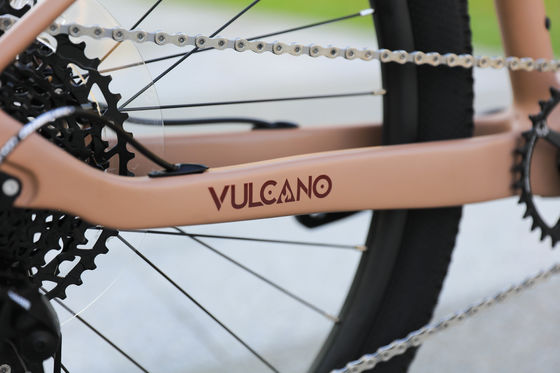 Bicycle de montagne en alliage d'aluminium 24 vitesses 29 pouces