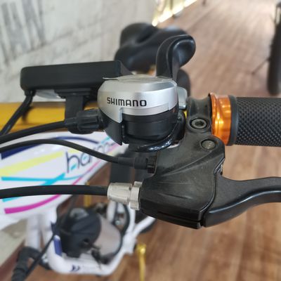 Fabriqué 26 pouces vélo électrique à pneus gras avec 48v 500w moteur batterie au lithium alimenté