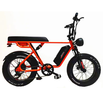 Aventure en plein air 20*4.0 Kenda Fat Tire Double Disque Brake Vélo de montagne pour les adolescents