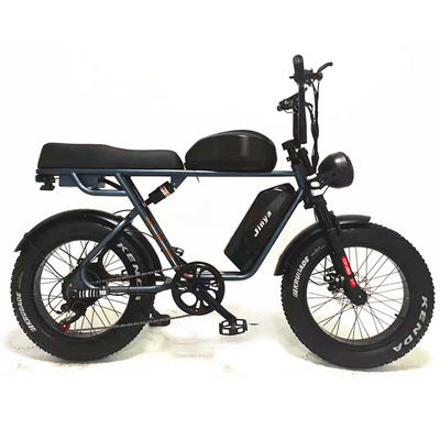 Aventure en plein air 20*4.0 Kenda Fat Tire Double Disque Brake Vélo de montagne pour les adolescents