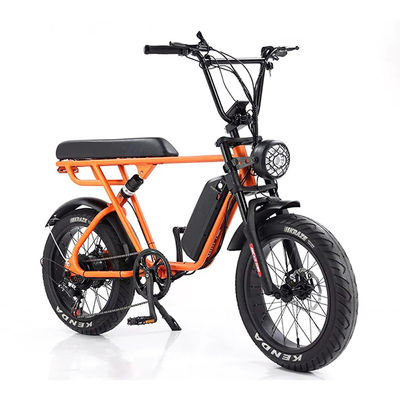 Aventure en plein air 20*4.0 Kenda Fat Tire Double Disque Brake Vélo de montagne pour les adolescents