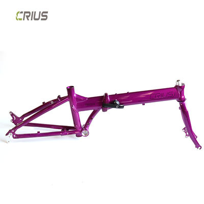 9 vitesses de vitesse Crius 20 pouces Master D Route Folding Bike avec frein en V et hommes de course
