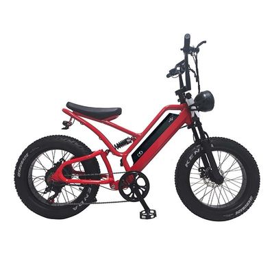 E-bike pneu gras 48V10Ah batterie au lithium vitesse 500W moteur à rayons sans balai pour motoneige