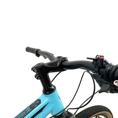 Bicycle de montagne en alliage cassette de 29 pouces avec frein à disque hydraulique et cadre en alliage d'aluminium