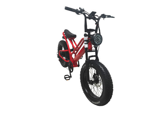 E-bike pneu gras 48V10Ah batterie au lithium vitesse 500W moteur à rayons sans balai pour motoneige