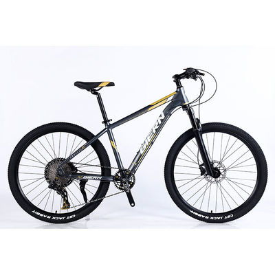 Fabrication de vélos de montagne à 12 vitesses à double jante et design classique