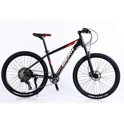 Fabrication de vélos de montagne à 12 vitesses à double jante et design classique