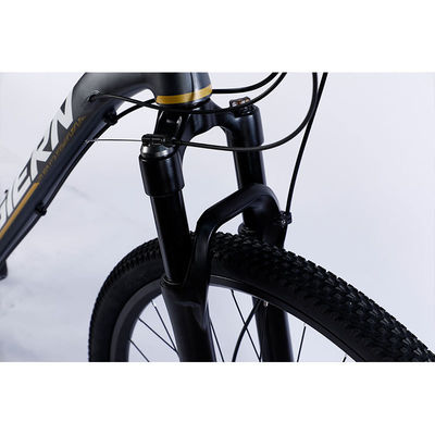 Fabrication de vélos de montagne à 12 vitesses à double jante et design classique