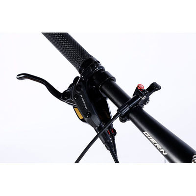 Fabrication de vélos de montagne à 12 vitesses à double jante et design classique