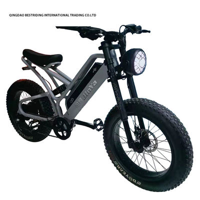 Vélo électrique à disque mécanique 48v 500w Vélo électrique à moteur 2 roues 20 pouces
