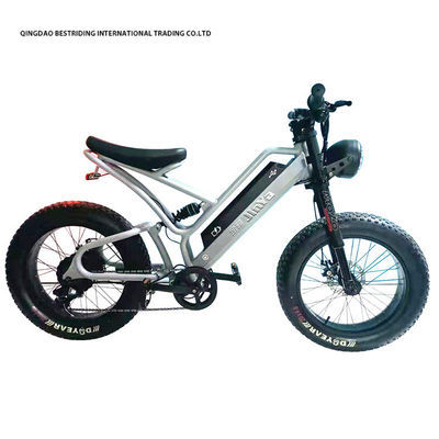 Vélo électrique à disque mécanique 48v 500w Vélo électrique à moteur 2 roues 20 pouces