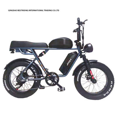 Vélo électrique personnalisé 48V 1000W 20 pouces de pneus gras Ebike avec et 52V chargeur de batterie au lithium