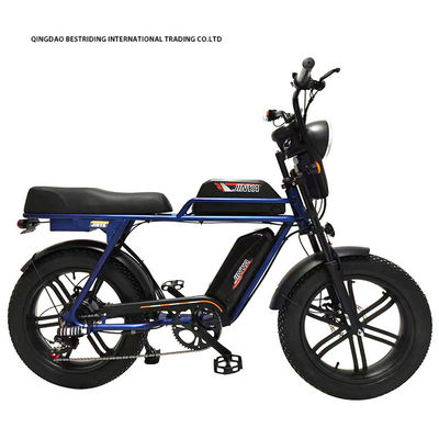 Vélo électrique personnalisé 48V 1000W 20 pouces de pneus gras Ebike avec et 52V chargeur de batterie au lithium