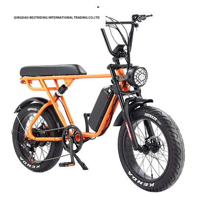 Vélo électrique personnalisé 48V 1000W 20 pouces de pneus gras Ebike avec et 52V chargeur de batterie au lithium
