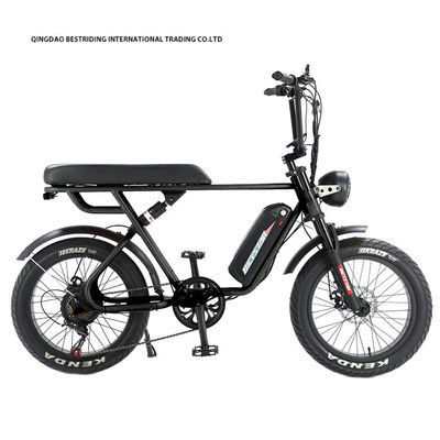 Vélo électrique personnalisé 48V 1000W 20 pouces de pneus gras Ebike avec et 52V chargeur de batterie au lithium