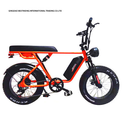 Vélo électrique personnalisé 48V 1000W 20 pouces de pneus gras Ebike avec et 52V chargeur de batterie au lithium