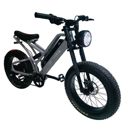 Pneus électroniques à graisse Vélo électrique 20 pouces Pneus à graisse 500w Ebike 48v avec Smart Type