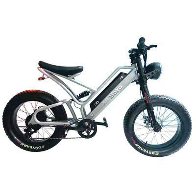 Pneus électroniques à graisse Vélo électrique 20 pouces Pneus à graisse 500w Ebike 48v avec Smart Type
