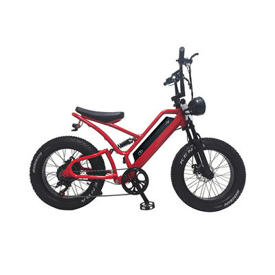 Pneus électroniques à graisse Vélo électrique 20 pouces Pneus à graisse 500w Ebike 48v avec Smart Type