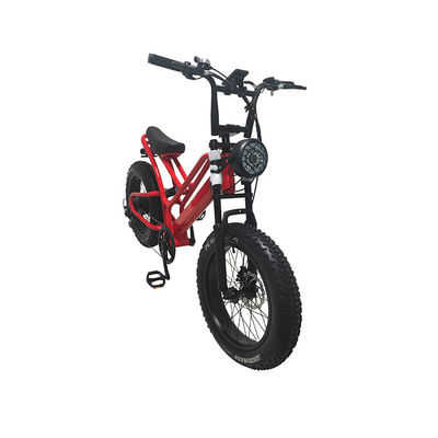 Pneus électroniques à graisse Vélo électrique 20 pouces Pneus à graisse 500w Ebike 48v avec Smart Type