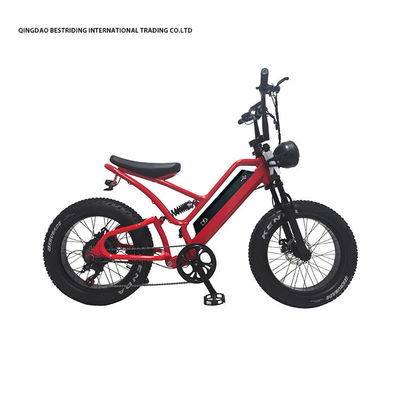 48V10Ah batterie au lithium 5000w vélo électrique pour adultes