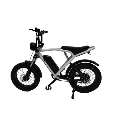 Moteur à moyeu arrière 20*4,0' Fat Tire Electric Bicycle E-Bike pour le marché