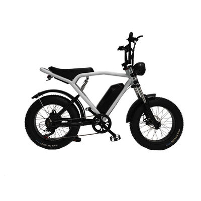 Moteur à moyeu arrière 20*4,0' Fat Tire Electric Bicycle E-Bike pour le marché