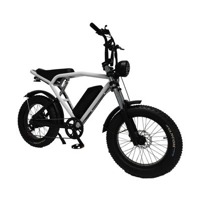 Moteur à moyeu arrière 20*4,0' Fat Tire Electric Bicycle E-Bike pour le marché
