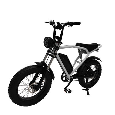 Moteur à moyeu arrière 20*4,0' Fat Tire Electric Bicycle E-Bike pour le marché