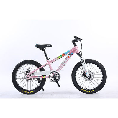 Vélo pour enfants de 20 pouces Vélo pour enfants Vélo à vitesse unique Vélo avec fourchette de suspension en acier
