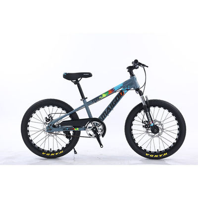 Vélo pour enfants de 20 pouces Vélo pour enfants Vélo à vitesse unique Vélo avec fourchette de suspension en acier