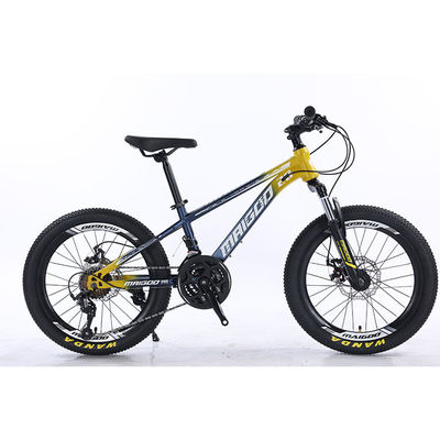 Vélo pour enfants de 20 pouces et 21 pouces Vélo pour enfants avec logo personnalisé et bord en alliage d'aluminium