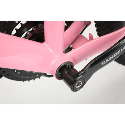 Cadre en acier 20 pouces WANDA 20 * 2.125 pneus enfants vélo pour durable 21 vitesses MTB