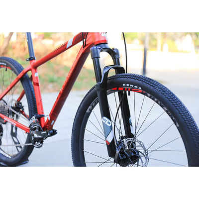 Tailles personnalisées de vélo d'exercice 29 pouces Vélo de montagne avec 22 engrenages de vitesse et soudures lisses