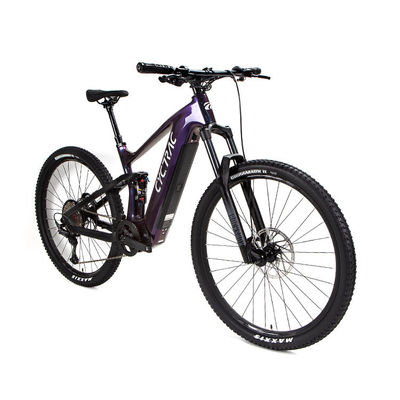 EM10 câbles intérieurs en fibre de carbone Moteur intermédiaire Shox arrière Vélo électrique d'assistance