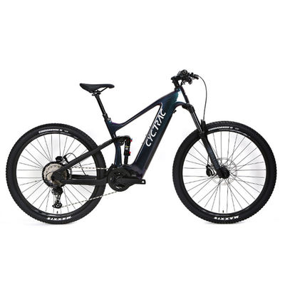 EM10 câbles intérieurs en fibre de carbone Moteur intermédiaire Shox arrière Vélo électrique d'assistance