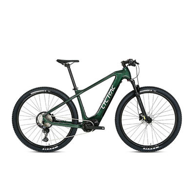 Bicycle électrique à commande à distance M510 Mid Drive Et batterie au lithium de 48V 13Ah