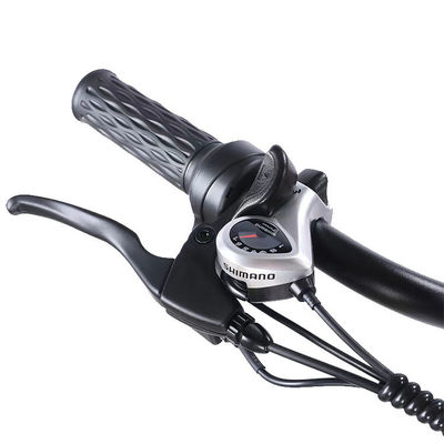 Avant 24 arrière 20 pneus neige tricycle électrique avec SHIMANO arrière 7-vitesse et batterie 48V15A
