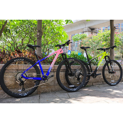 Vélo de montagne à double suspension de 29 pouces avec pneus Maxxis et PROWHEEL PMX 36T Chainring