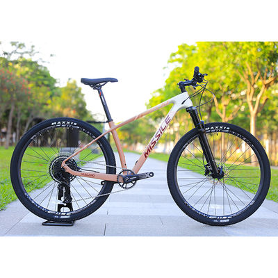 Vélo de montagne en alliage de frein à disque hydraulique avec roues de 29 pouces et plaquette de frein de 160 mm
