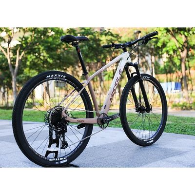 Bicicle de montagne en alliage d'aluminium de 29 pouces avec frein à disque hydraulique et suspension avant