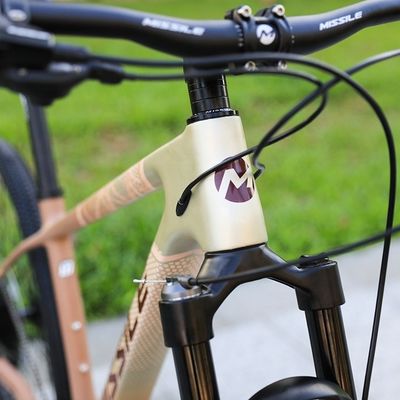Bicicle de montagne en alliage d'aluminium de 29 pouces avec frein à disque hydraulique et suspension avant