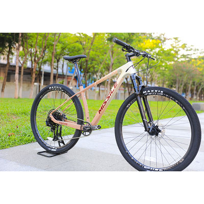 29 pouces VTT VTT en fibre de carbone Cadre dur VTT VTT VTT