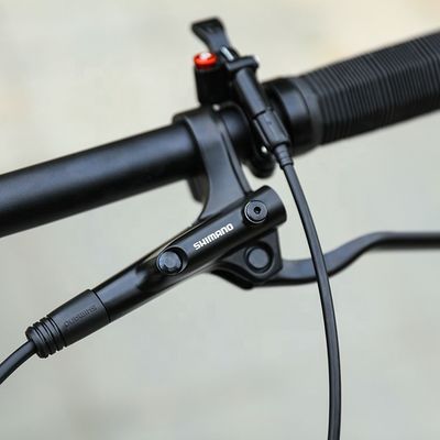 29 pouces de support OEM Vélo de montagne avec YBN S12S Chaîne 12 vitesse MTB 2022 Cadre dur