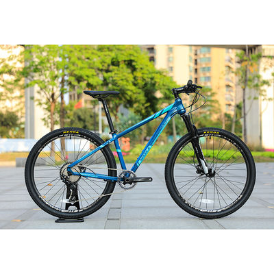 29er Speed Mountain Bike avec un cadre en fibre de carbone personnalisé et une béquille de roue TEN-M601